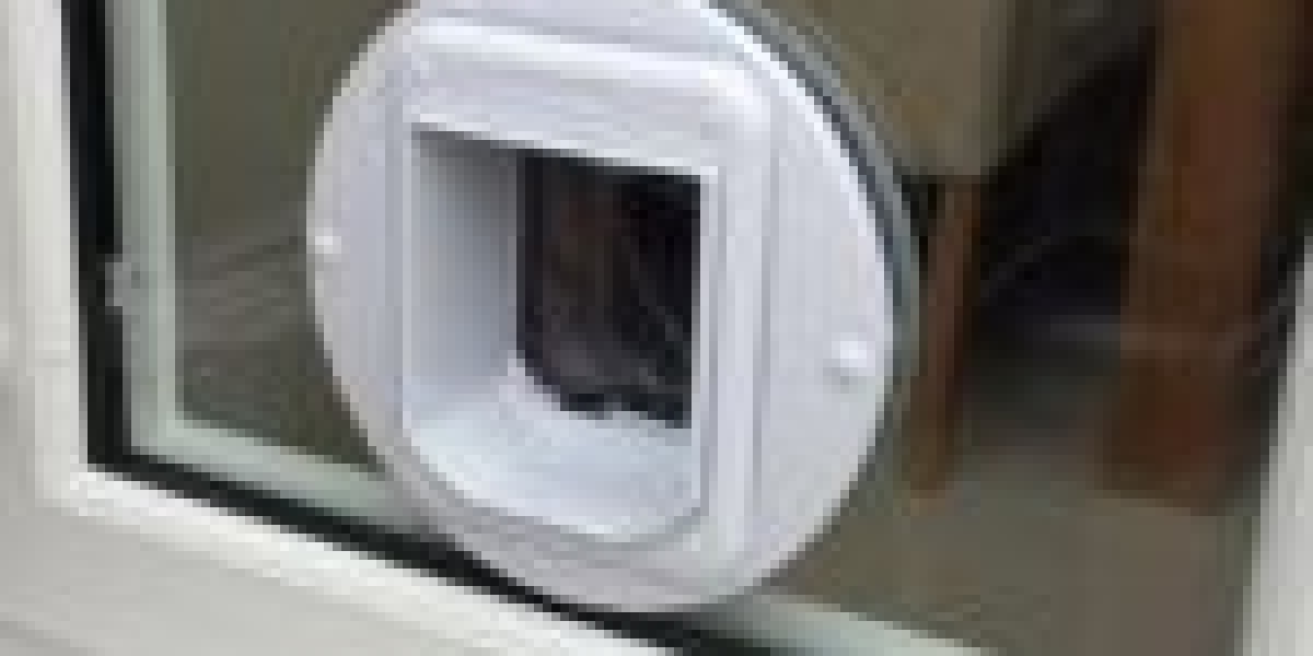 A Productive Rant Concerning Local Cat Flap Installer