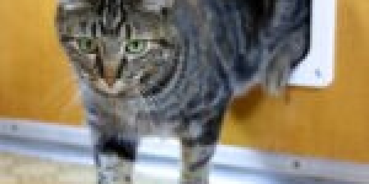 What To Say About Cat Flap Installer To Your Boss