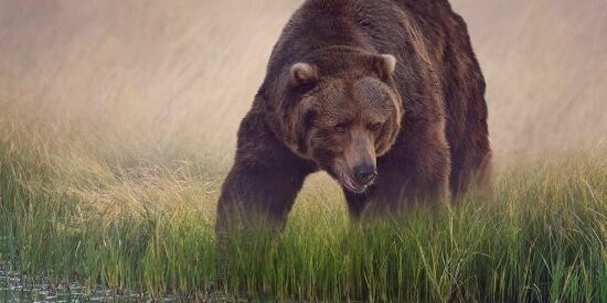 Knowing your Rights when Signing an Agreement (Lease).