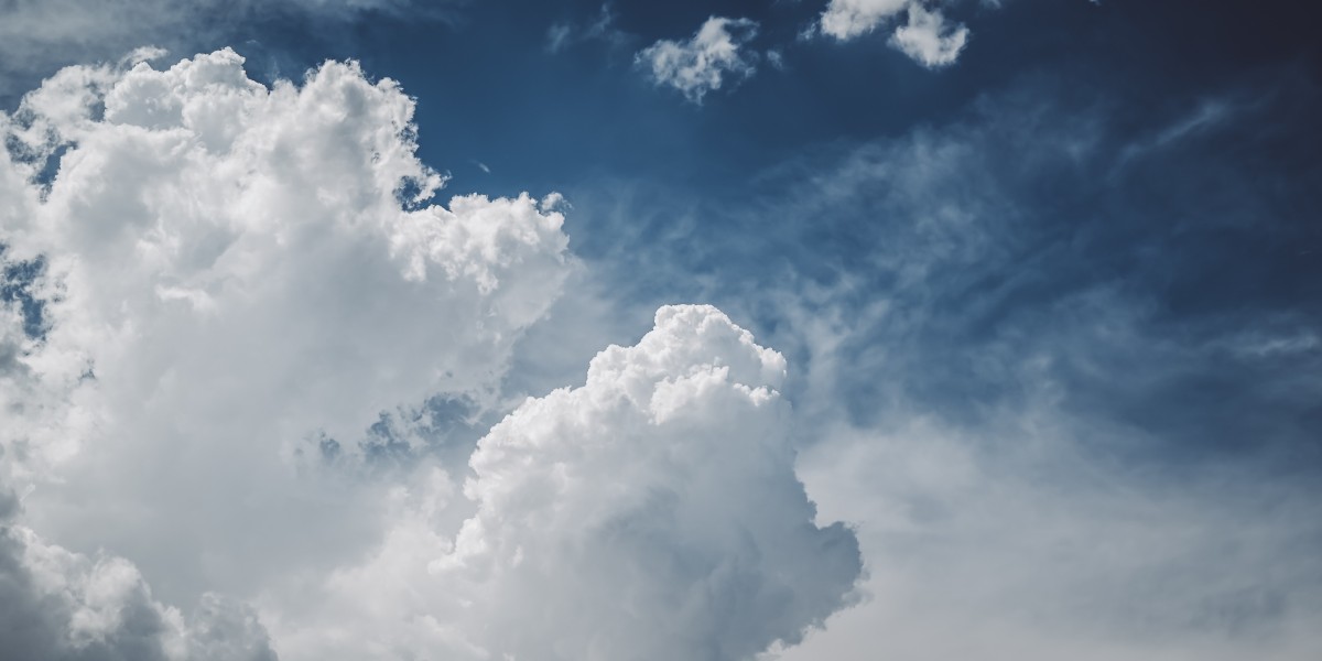 Unleash Your Imagination: Discover the Enchanting Dragon Designs from Karma Studio!