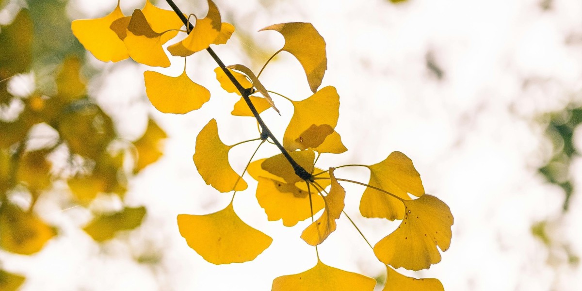 u4gm What Redacted Regiment Means for Helldivers 2 Stealth