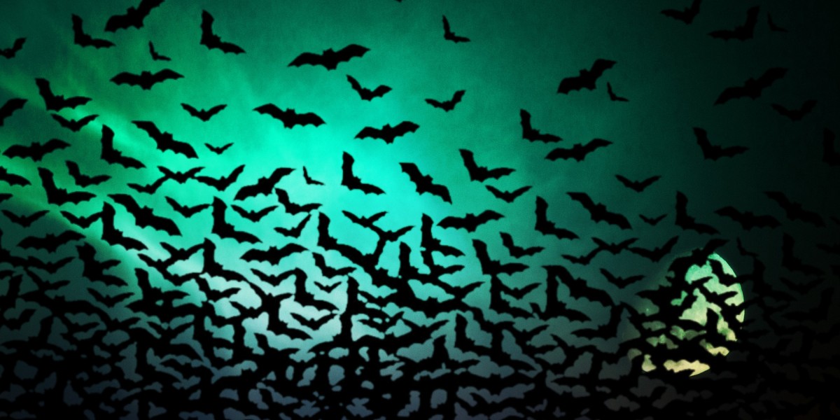 Exploring Sugar Daddy Sites in South Africa: A Cultural And Economic Perspective