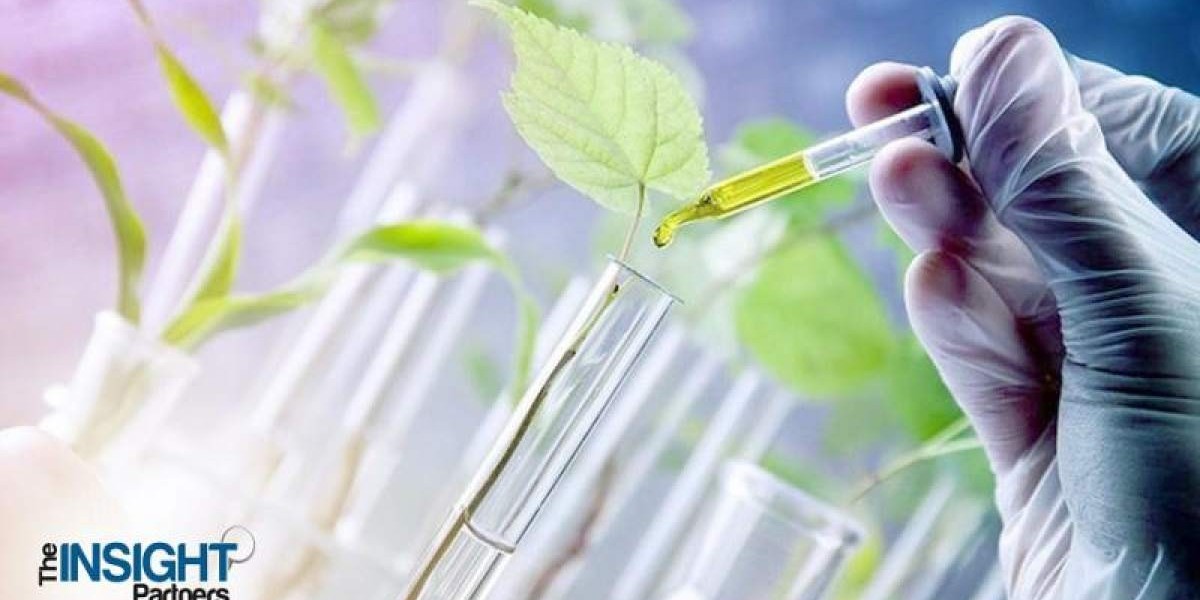 Global Biostimulants Market to Reach US$ 8.41 Billion by 2031, Driven by Sustainable Agriculture Trends
